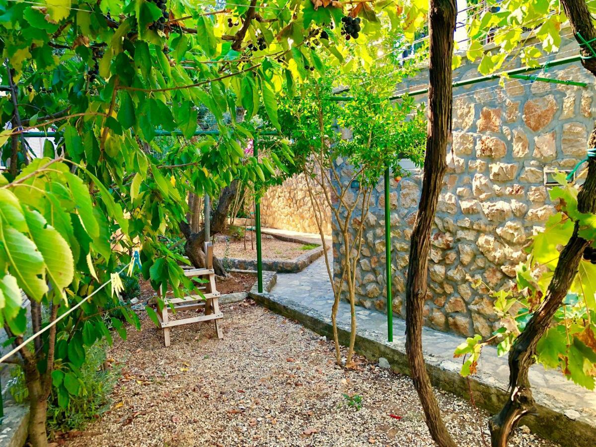 Villa Dinastija Kali Kültér fotó
